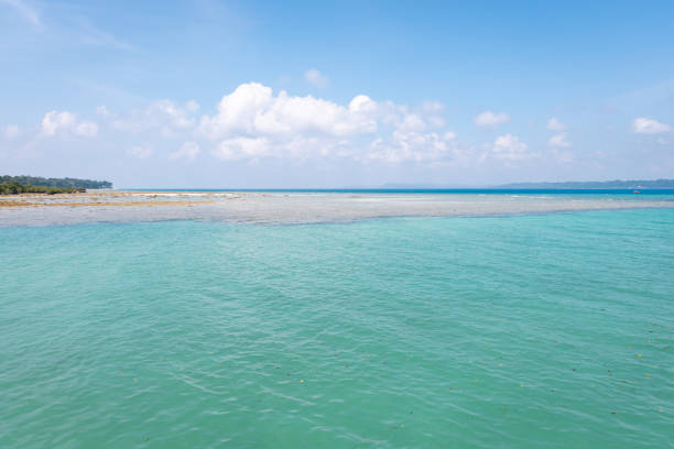 Pristine Coastal Scene with Clear Waters and Bright Sky image is taken at neil Island at Andaman and Nicobar Islands.