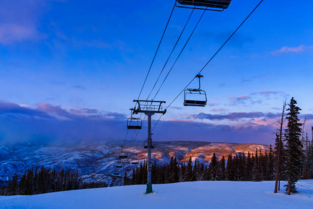Winter landscape with snowy mountains, green pine trees, backlit, clear weather, winter, wide angle lens