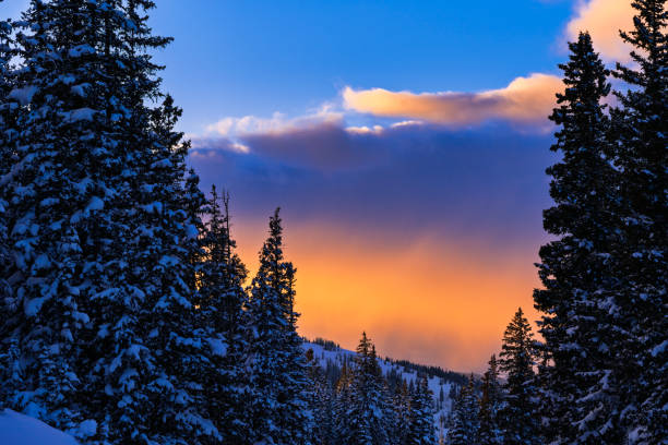 Frosted Trees and Scenic Sunset with Mountain View - Fresh snowy trees in this scenic winter wonderland landscape.