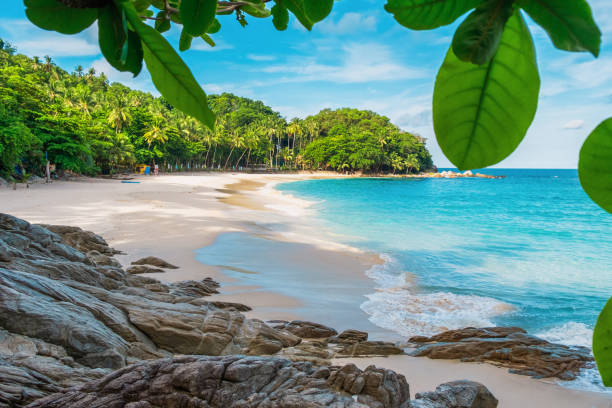 istock Tropical beach with turquoise waters, sandy shore, palm trees, rocks and green foliage under a bright blue sky with nobody. Freedom beach in Phuket island, Thailand. Summer travel destination in Asia 2193897659