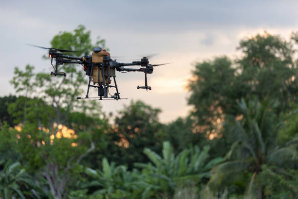istock Agricultural drones and agricultural crops, Drones to spray fertilizer in rice fields. Agriculture drone flying above young rice fields to spraying fertilizer and pesticide farmland agricultural 2193898247