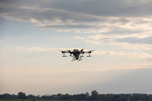 istock Agricultural drones and agricultural crops, Drones to spray fertilizer in rice fields. Agriculture drone flying above young rice fields to spraying fertilizer and pesticide farmland agricultural 2193898250