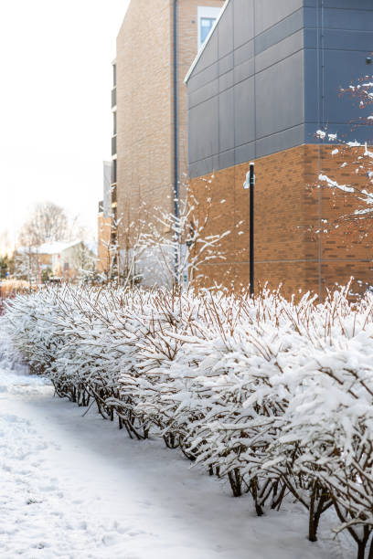 istock Snow Covered Pathway Beside Modern Brick and Dark Paneled Building 2193898415