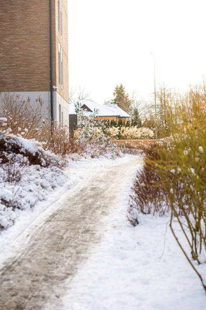 istock Snow Covered Pathway Beside Modern Brick Building in Winter Light 2193898446