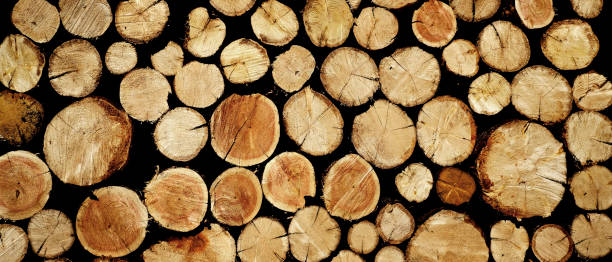 istock Stack of Wood Firewood Texture Wooden Cut Trees 2193899472