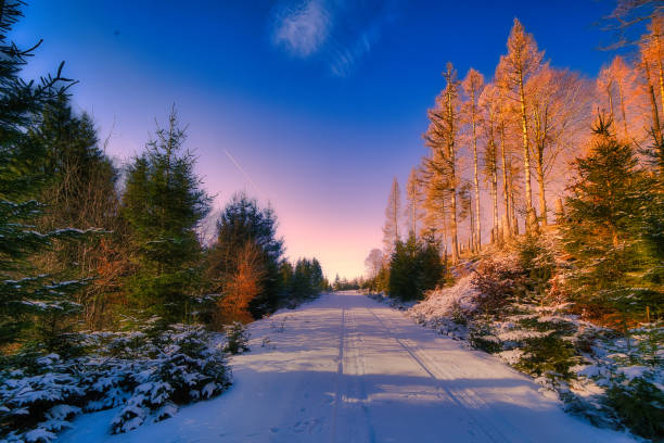 istock Winter experiences on the Rennsteig in the Thuringian Forest 2193901487