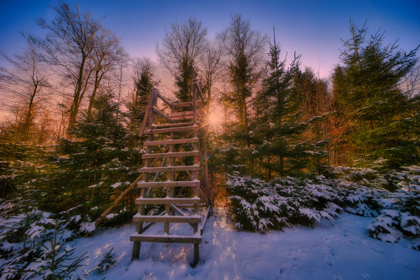 Winter experiences on the Rennsteig in the Thuringian Forest