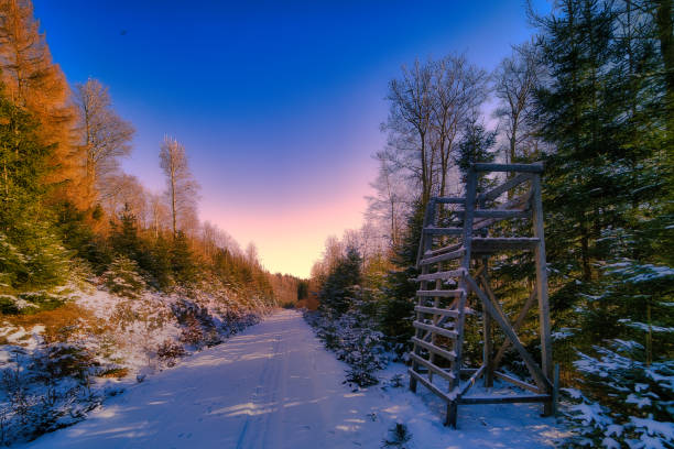 Winter experiences on the Rennsteig in the Thuringian Forest