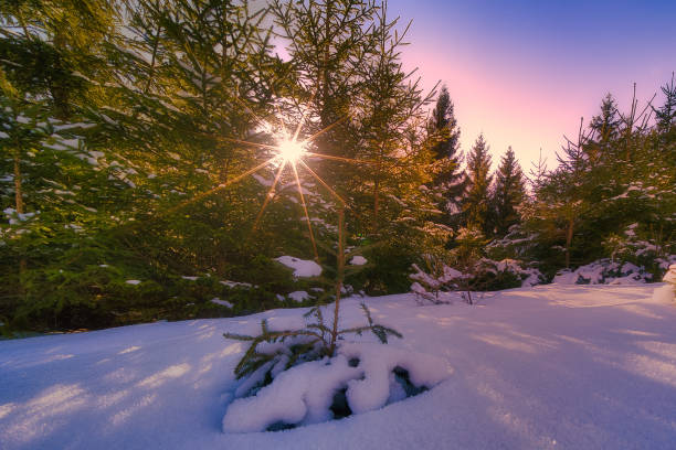 Winter experiences on the Rennsteig in the Thuringian Forest