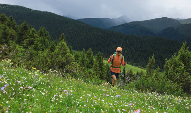istock Hiker hiking on high altitude mountain top 2193901765