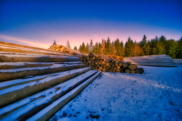 Winter experiences on the Rennsteig in the Thuringian Forest