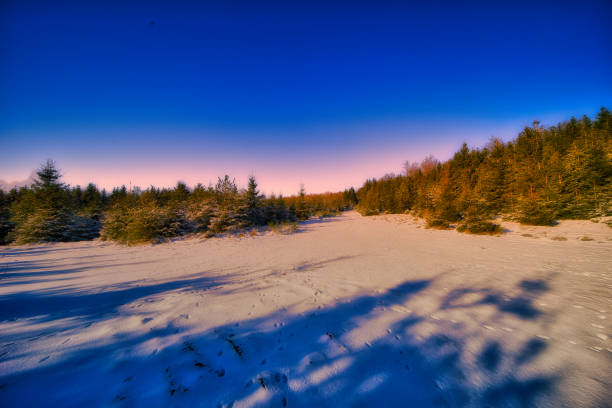 Winter experiences on the Rennsteig in the Thuringian Forest