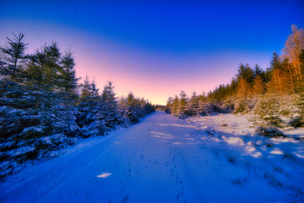 istock Winter experiences on the Rennsteig in the Thuringian Forest 2193902808