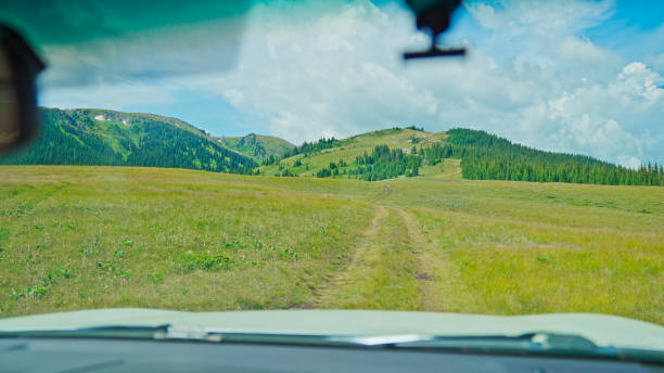 istock Coniferous Forest,Spruce,Grassland.Sayram Lake,Bole,Bortala Mongolian Autonomous Prefecture,Xinjiang,China,Asia. 2193902873