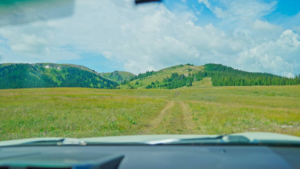 istock Coniferous Forest,Spruce,Grassland.Sayram Lake,Bole,Bortala Mongolian Autonomous Prefecture,Xinjiang,China,Asia. 2193902874