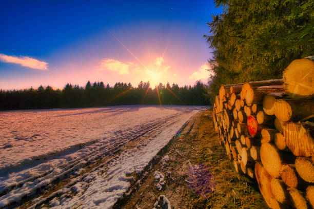 Winter experiences on the Rennsteig in the Thuringian Forest