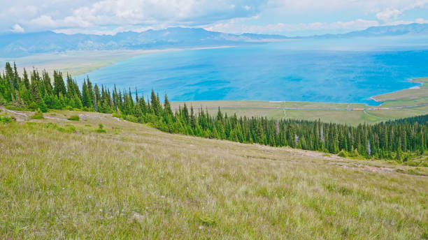 istock Coniferous Forest,Spruce,Grassland.Sayram Lake,Bole,Bortala Mongolian Autonomous Prefecture,Xinjiang,China,Asia. 2193903015