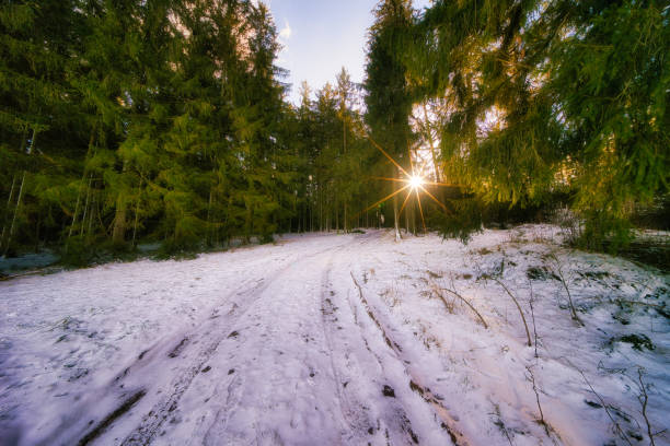 Winter experiences on the Rennsteig in the Thuringian Forest