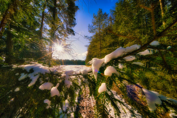Winter experiences on the Rennsteig in the Thuringian Forest