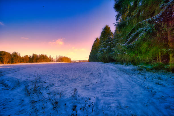 Winter experiences on the Rennsteig in the Thuringian Forest