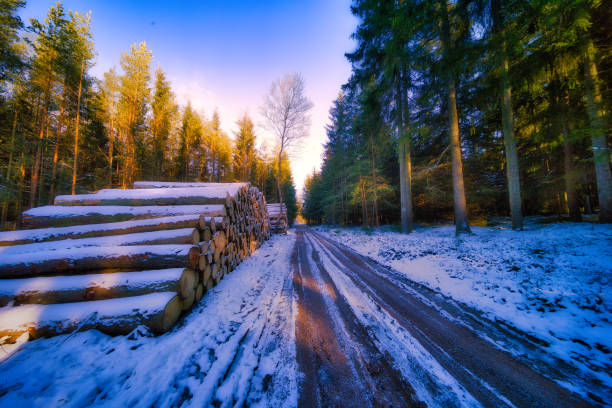 Winter experiences on the Rennsteig in the Thuringian Forest