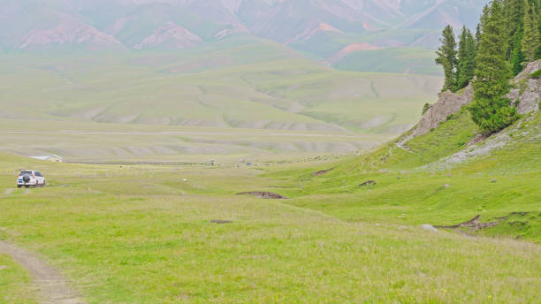 istock Grassland,Ili,Xinjiang,China,Asia. 2193904458