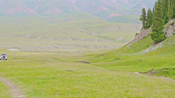 istock Grassland,Ili,Xinjiang,China,Asia. 2193904459