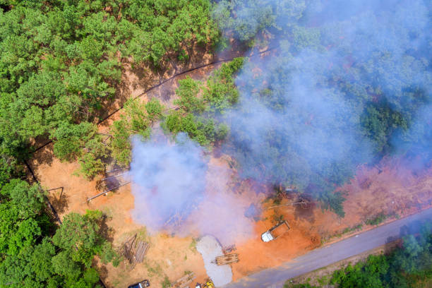 istock Smoke billowing from controlled burn in forested area during midday for land management practices 2193904489