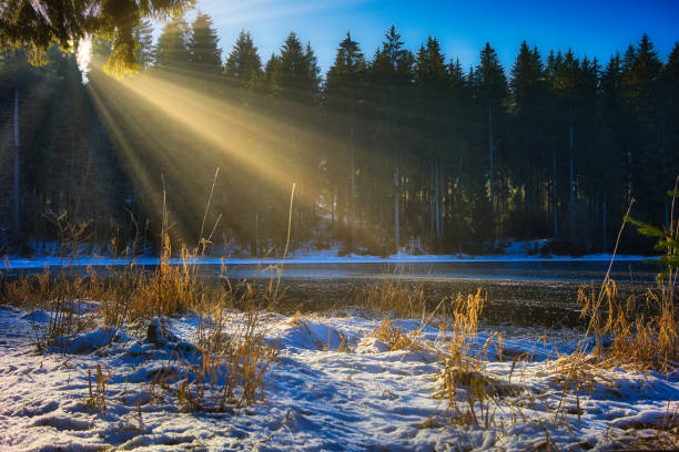 Experiences on the Rennsteig in the Thuringian Forest