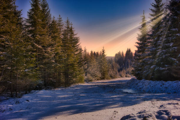 Experiences on the Rennsteig in the Thuringian Forest