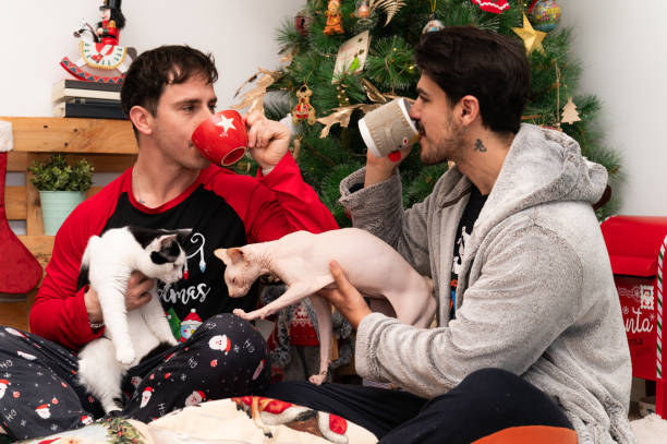 istock Lgbtq couple drinking coffee with their cats at christmas 2193907113