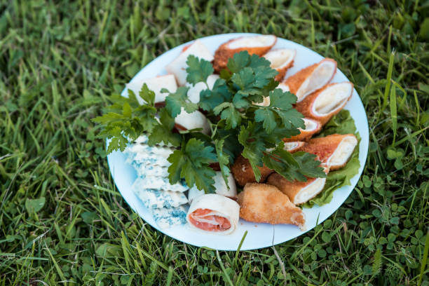 A white plate on grass holds fried pieces, salmon filled wraps, herb infused spread, and parsley garnish, suggesting an outdoor dining setting.