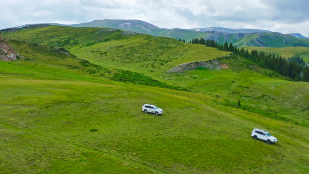 istock Grassland,Xinjiang,China,Asia. 2193917765