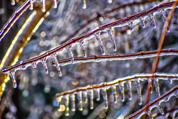 istock Image of icicles after a winter storm 2193925181