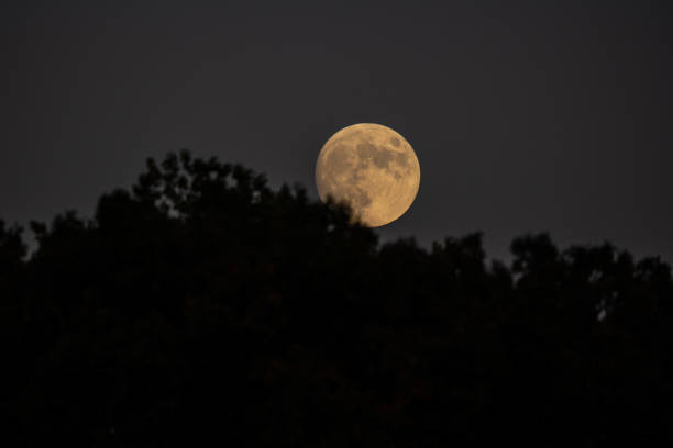 istock Image of the moon in the night sky 2193926338