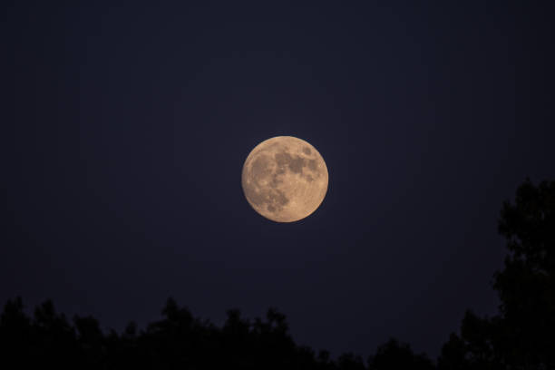 istock Image of the moon in the night sky 2193926356