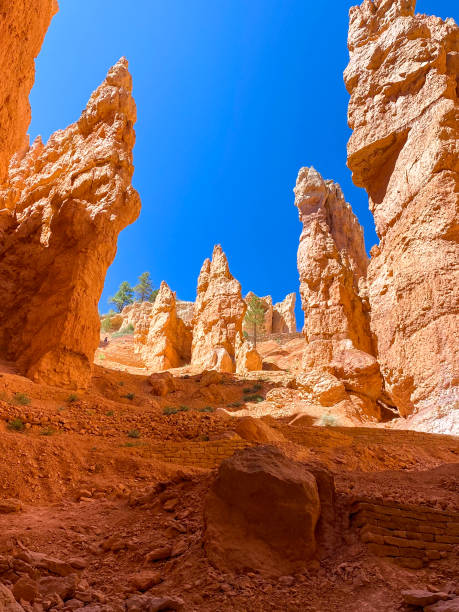istock Hiking Trail In Bryce Canyon National Park 2193927480