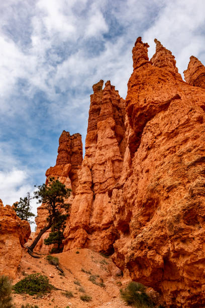 istock Bryce Canyon national park, Utah, USA 2193935497