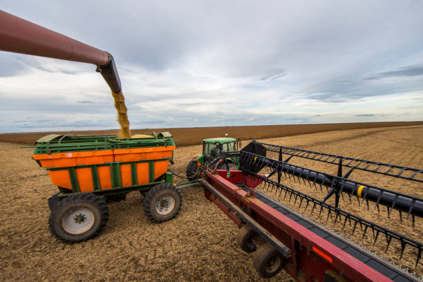 istock Soybeans harvesting in MATOPIBA (Maranhão, Tocantins, Piauí and Bahia) - Brazil 2193936626