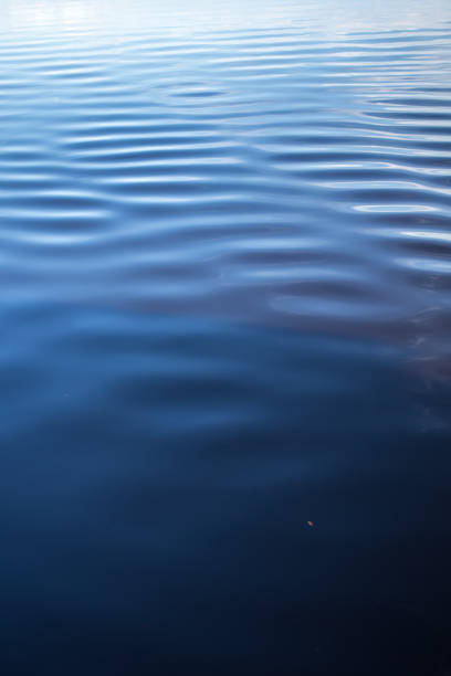 istock A boat sails in Rio Negro river 2193938083
