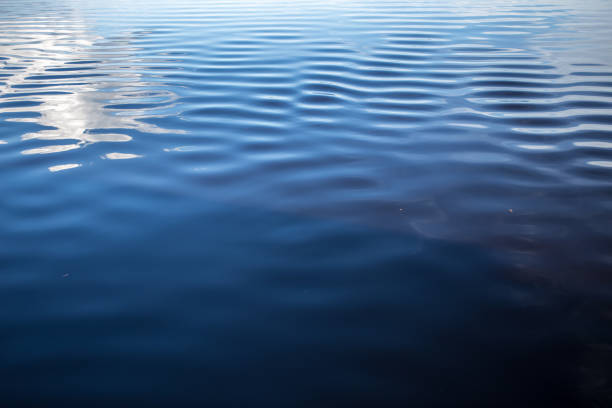 istock A boat sails in Rio Negro river 2193938089