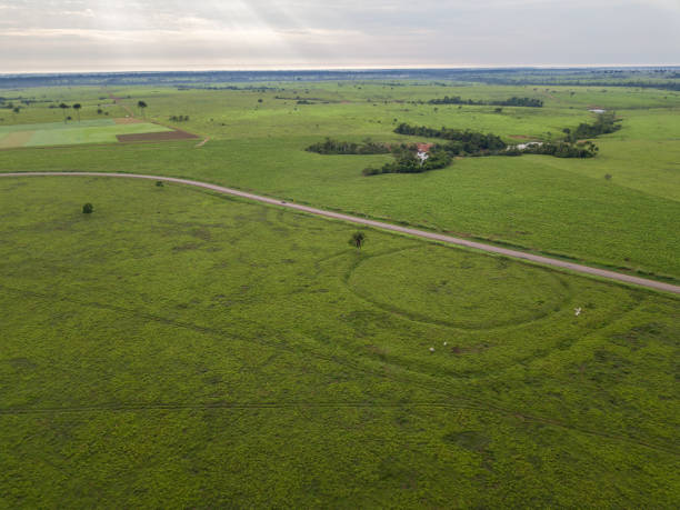 istock Aerial view of a geoglyphs, in Acre (Brazil) 2193938638