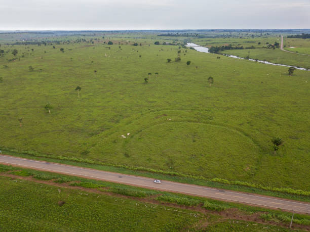 istock Aerial view of a geoglyphs, in Acre (Brazil) 2193938649