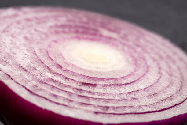Raw organic red onion - Allium cepa.