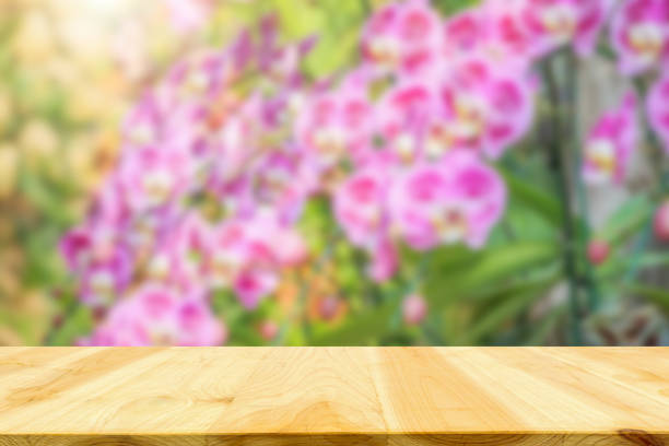 istock Empty wood table top with blur orchid garden background for product display 2193939002