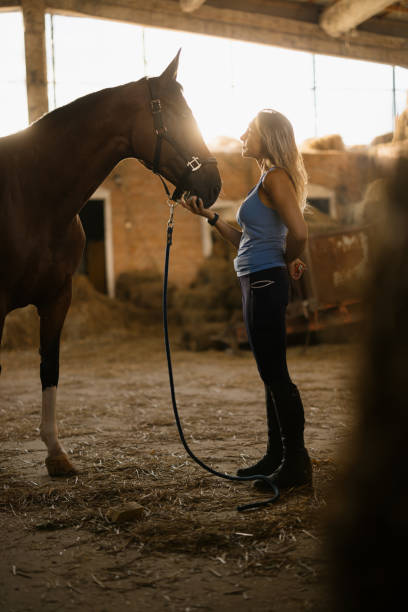 istock Woman Interacting with Horse in Sunlit Barn Setting 2193940615