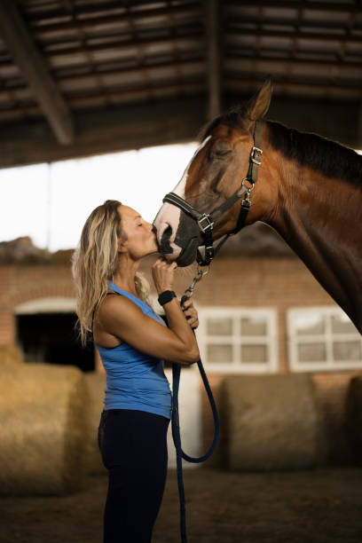 istock Woman Showing Affection to Horse in Rustic Stable Setting 2193940618