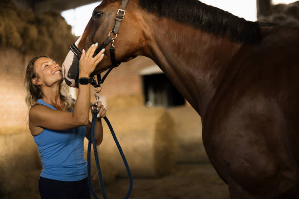 istock Woman Enjoying Connection With Her Horse in a Rustic Stable Setting 2193940623