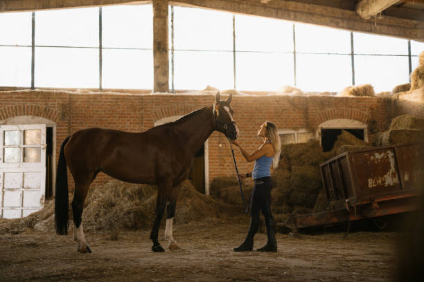 istock Woman Interacting with a Horse in a Rustic Barn Setting 2193940625