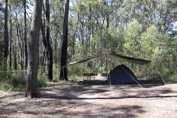 istock Camping NSW Australia 2193940701